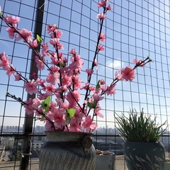 hr頭像