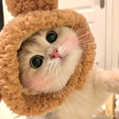 hr头像
