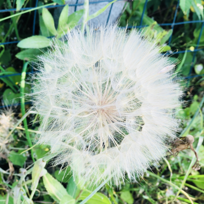 青岛才俊教育咨询管理有限公司