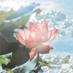 hr頭像