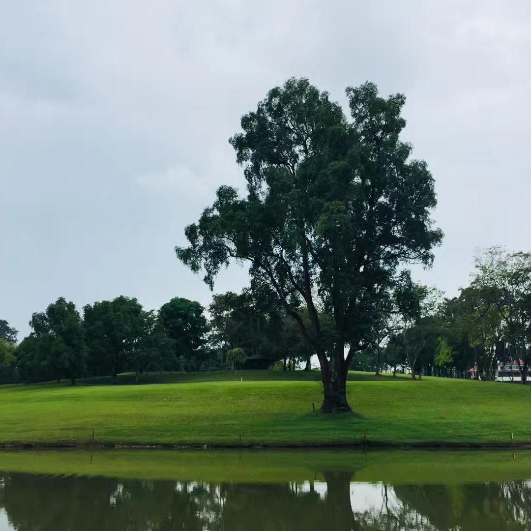 职位发布者头像