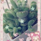 hr頭像