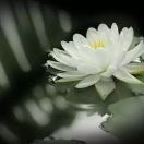 hr頭像
