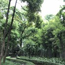 hr頭像