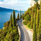 职位发布者头像